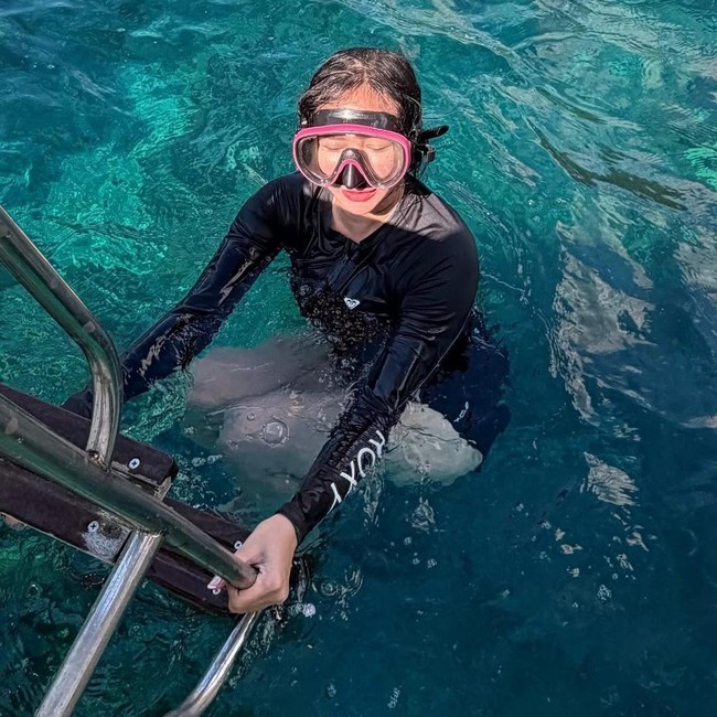 Momen Aura Kasih Freedive: Cari Lumba-lumba hingga Dikerumuni Ikan