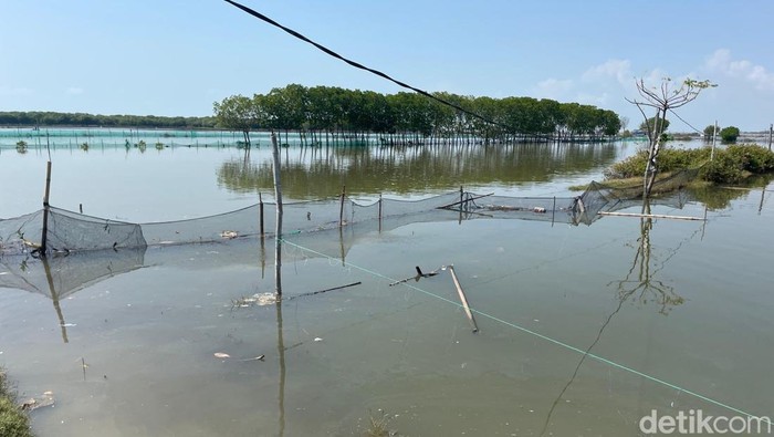 Banjir di Tunggulsari, Tayu, Pati, sudah sebulan tak juga surut. 

Foto diambil Senin (22/6/2026).