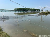Bupati Pati Ungkap Pemicu Sebulan Rob di Tunggulsari Belum Surut