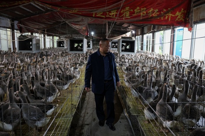 Bisnis Foie Gras, Pria yang Pernah Kelaparan Ini Sekarang Hidup Mewah