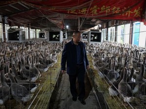 Bisnis Foie Gras, Pria yang Pernah Kelaparan Ini Sekarang Hidup Mewah