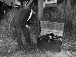 Foto-foto Lawas Ini Bikin Merinding, Masa Lalu Ternyata Seseram Itu