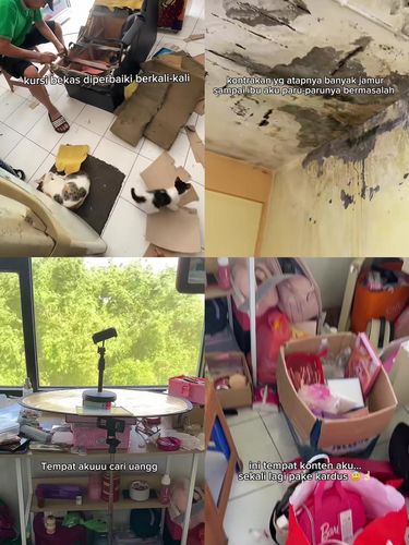 Dulu tidur alas kardus di kontrakan sempit, seorang wanita sukses bangun rumah mewah tanpa utang demi memuliakan orang tuanya berkat konsisten ngonten. Dulu tidur alas kardus di kontrakan sempit, seorang wanita sukses bangun rumah mewah tanpa utang demi memuliakan orang tuanya berkat konsisten ngonten.
