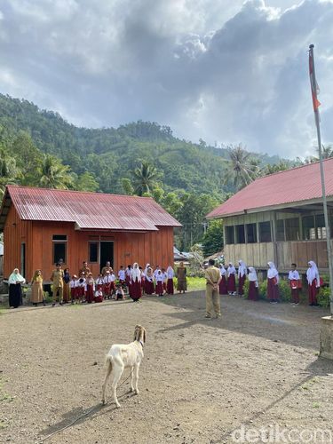 Guru perbaiki pintu kelas di SD Negeri Terpencil di Sulawesi Tengah viral. Aksi ini terpaksa dilakukan karena kambing sering masuk dan mengganggu siswa belajar.