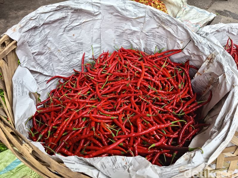Harga cabai merah di Sumut melonjak. (kartika sari/detikSumut) Harga cabai merah di Sumut melonjak. (kartika sari/detikSumut)