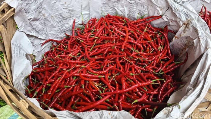 Harga cabai merah di Sumut melonjak. (kartika sari/detikSumut)