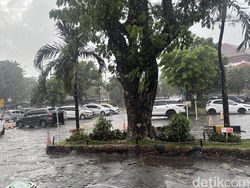 Hujan Saat Kemarau Bulan Juni, BMKG Ingatkan Cuaca Ekstrem Landa Jatim