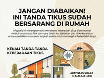 Jangan Diabaikan! Ini Tanda Tikus Sudah Bersarang di Rumah