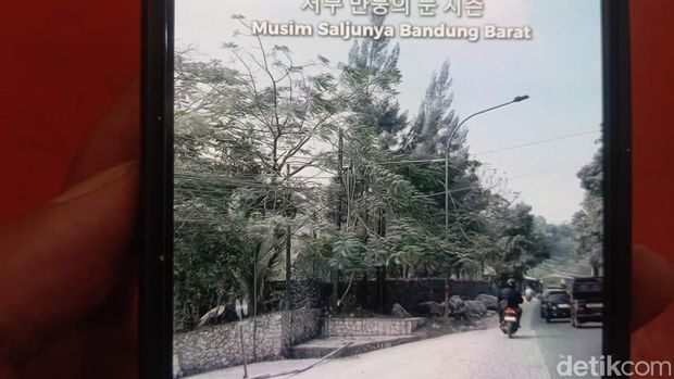 Kondisi Jalan Raya Padalarang-Cianjur yang memutih 'berselimut salju' Kondisi Jalan Raya Padalarang-Cianjur yang memutih 'berselimut salju'