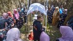Maatam, Ritual Sarat Makna dalam Tradisi Tabuik
