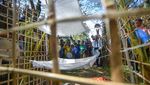 Maatam, Ritual Sarat Makna dalam Tradisi Tabuik