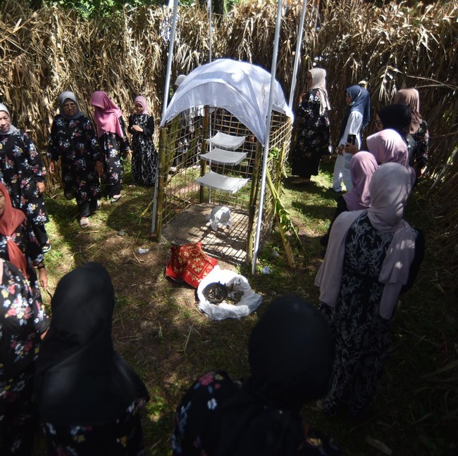 Maatam, Ritual Sarat Makna dalam Tradisi Tabuik