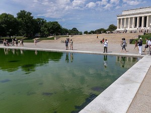 Kolam Refleksi Washington Rusak Lagi, Trump Tetap Pakai Kontraktor yang Sama