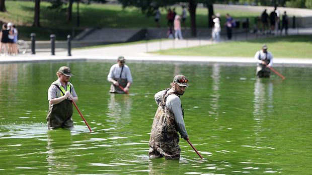 Trump Murka Kolam Refleksi yang Telah Direnovasi Dipenuhi Alga dan Vandalisme Trump Murka Kolam Refleksi yang Telah Direnovasi Dipenuhi Alga dan Vandalisme
