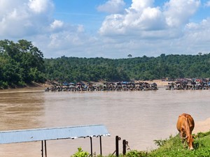 Konflik Tambang Emas Ilegal di Tebo, Penolak Diduga Dianiaya-Diancam