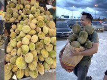 Harga Durian di Malaysia Anjlok, Ada yang Dijual Rp 8 Ribuan per Buah!