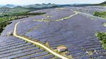 Panel Surya Ubah Lahan Tandus Jadi Sumber Energi Bersih