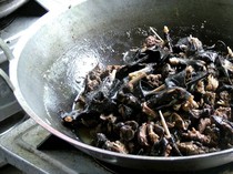 Paniki Khas Sulawesi Utara Masuk Daftar 24 Makanan Terburuk di Dunia 2026