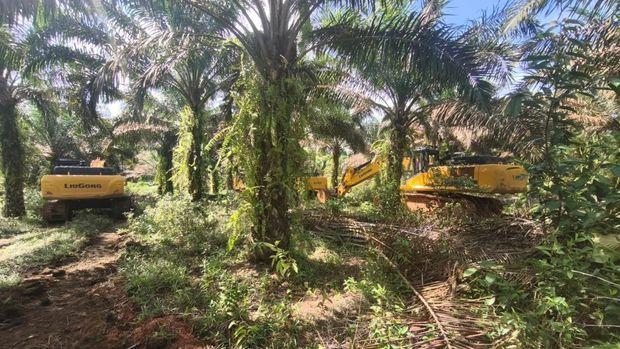 Penampakan Alat Berat Milik Bos Tambang di Kalbar Disita Kejagung