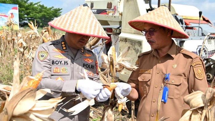 Polda Riau menggelar panen jagung mendukung ketahanan pangan nasional.