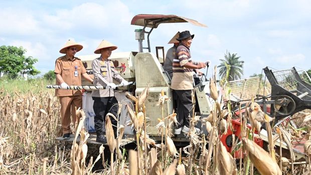 Polda Riau menggelar panen jagung mendukung ketahanan pangan nasional.