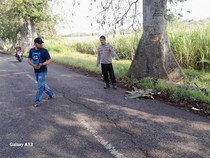 Buruh di Rembang Tewas Tertimpa Cabang Pohon Randu Saat Berangkat Kerja