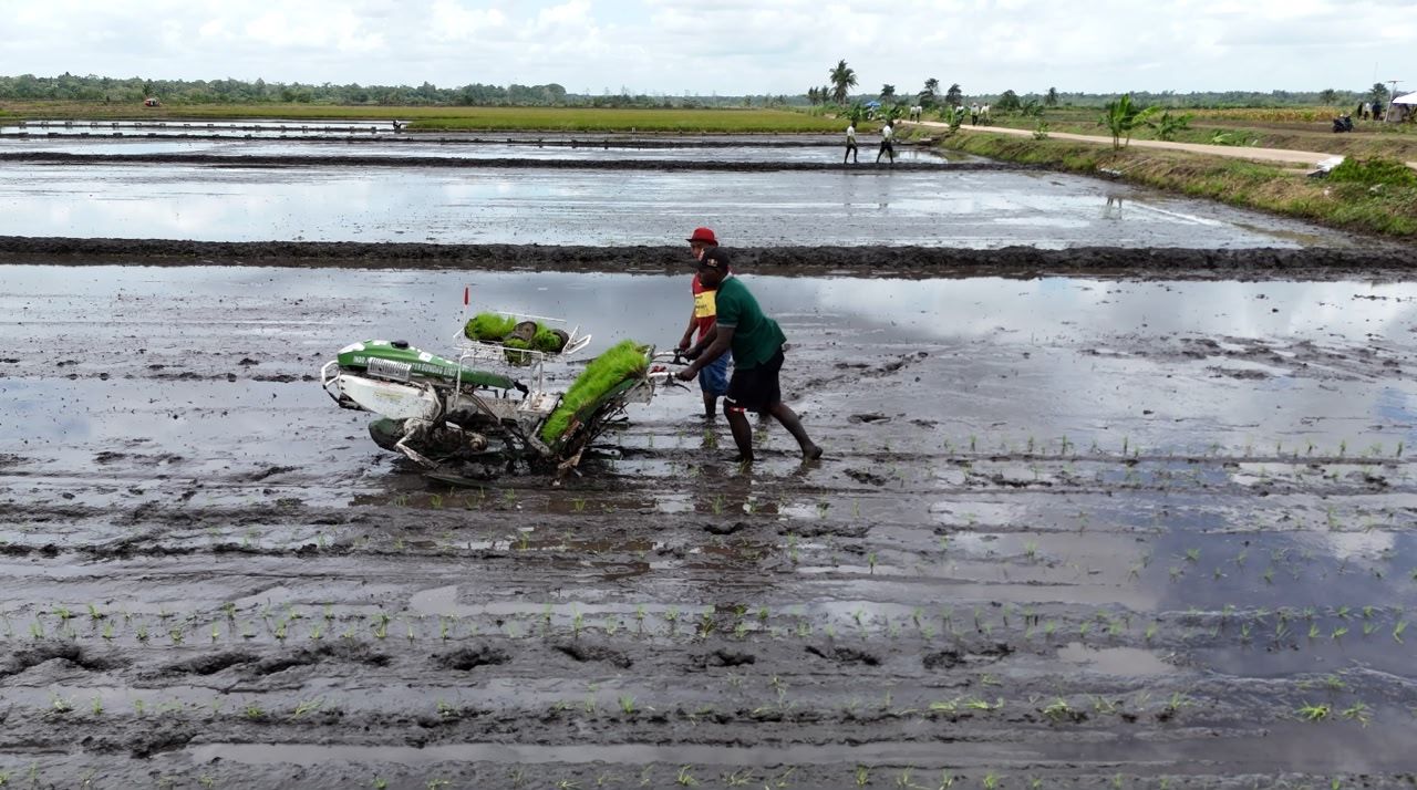 Program cetak sawah dan optimasi lahan di Kabupaten Merauke. (Dok. Kementan)