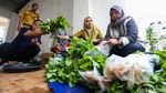 Rooftop Parkir Kantor Wali Kota Jakbar Disulap Jadi Kebun Sayur