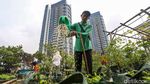 Rooftop Parkir Kantor Wali Kota Jakbar Disulap Jadi Kebun Sayur