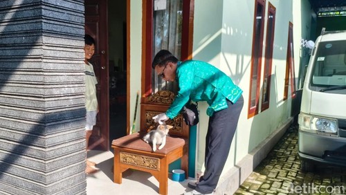 Petugas saat melakukan vaksinasi rabies di wilayah kasus gigitan anjing gila di Banjar Tangi, Desa Tegal Badeng Timur, Jembrana, Selasa (23/6/2026).