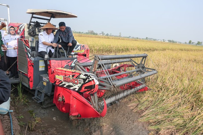 Ahmad Luthfi Sebut Produksi Padi Jawa Tengah Tembus 6,69 Juta Ton