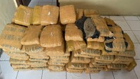 Kecelakaan Mobil vs Truk di Taput Bikin Pengiriman 112 Kg Ganja Terbongkar