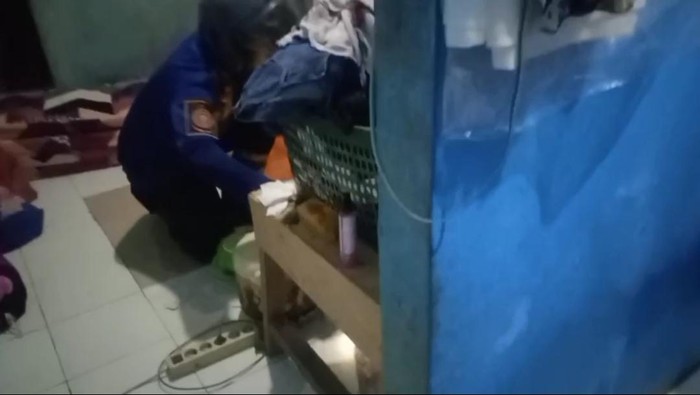 Damkar Bogor evakuasi ular kobra yang masuk kamar warga malam-malam.