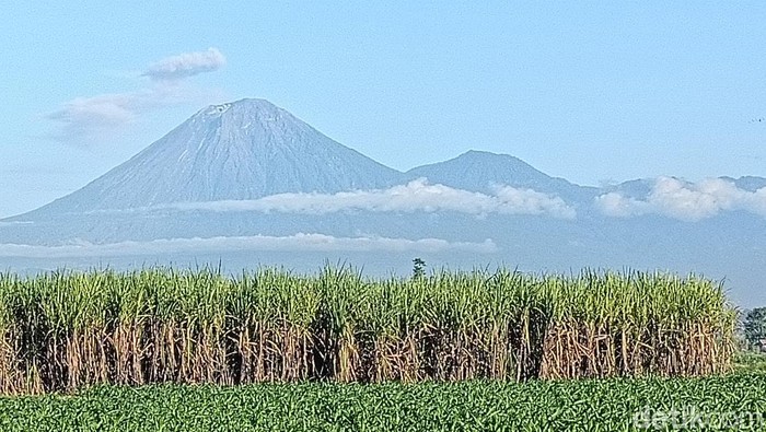 Gunung Semeru erupsi