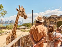 Ini Rencana 8 Hari Berlibur bersama Keluarga di Sydney & New South Wales