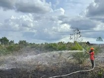 4 Hektare Lahan Gambut di Kotim Terbakar, 1 Rumah Terdampak