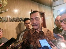 Momen Luhut Akui Program MBG Terlalu Terburu-buru, Begini Katanya