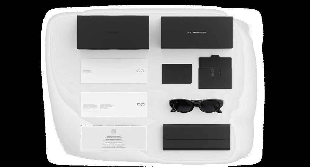 Meta Glasses AI