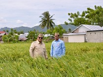 Video Prabowo ke Petani: Yang Bilang Beras Kemahalan, Suruh Ikut Kau Menanam!