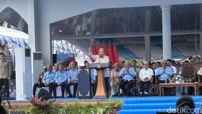 Presiden Prabowo Subianto (Firda Cynthia/detikcom)