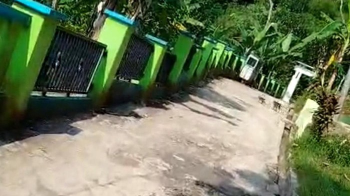 tangkapan layar gerombolan monyet di Ciamis masuk ke permukiman warga.
