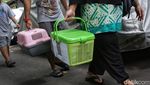 Vaksinasi Rabies Gratis di Menteng, Dukung Target Indonesia Bebas Rabies 2030
