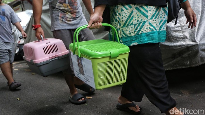 Dokter hewan dari Suku Dinas Ketahanan Pangan, Kelautan dan Perikanan (KPKP) Jakarta Pusat memberikan vaksin rabies pada hewan peliharaan di kantor RW 02 Menteng, Jakarta, Rabu (24/6/2026). Pemberian vaksin rabies gratis ini dilakukan rutin di Jakarta untuk berbagai hewan peliharaan seperti kucing, anjing, monyet hingga musang. Warga mengaku senang dengan vaksinasi gratis tersebut. Pemilik hewan peliharaan diberi stiker untuk memastikan hewannya telah dilakukan vaksinasi rutin. Organisasi Kesehatan Hewan Dunia (WOAH) dan Kementerian Pertanian menargetkan cakupan vaksinasi minimal 70 persen pada populasi hewan penular rabies seperti anjing, kucing, dan kera sebagai upaya mewujudkan Indonesia bebas rabies pada 2030.