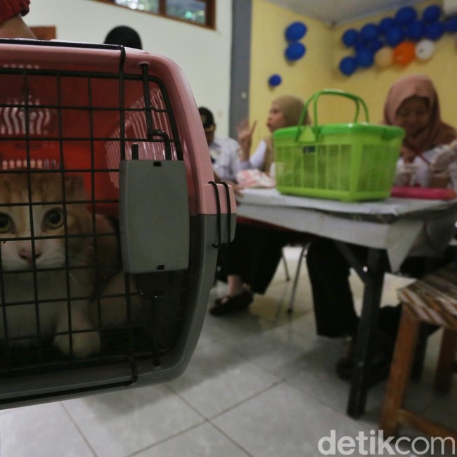 Vaksinasi Rabies Gratis di Menteng, Dukung Target Indonesia Bebas Rabies 2030