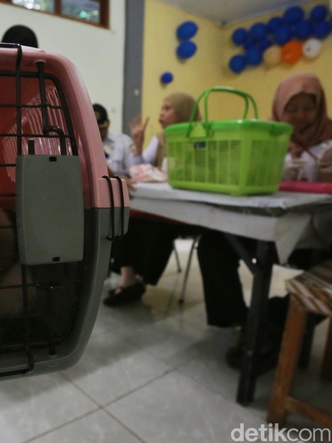 Vaksinasi Rabies Gratis di Menteng, Dukung Target Indonesia Bebas Rabies 2030