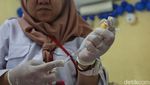 Vaksinasi Rabies Gratis di Menteng, Dukung Target Indonesia Bebas Rabies 2030