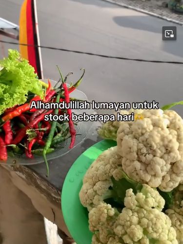 Viral aksi dua anak kos tanpa gengsi mulung sayur sisa pasar yang masih layak. Bermodal teliti, mereka dapat stok kembang kol hingga cabai demi hemat uang. Viral aksi dua anak kos tanpa gengsi mulung sayur sisa pasar yang masih layak. Bermodal teliti, mereka dapat stok kembang kol hingga cabai demi hemat uang.
