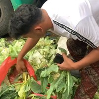Viral Anak Kos Mulung Sayur Sisa Pasar yang Layak Demi Hemat Pengeluaran