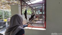 Bagi warga, keberadaan mini zoo ini juga bisa menjadi sarana edukasi bagi buah hati untuk mengenal jenis-jenis hewan. Foto: Ardian Dwi Kurnia/detikJateng
