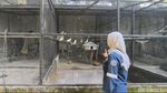 Senangnya Warga Bisa Healing di Mini Zoo SPBU Harjosari Semarang